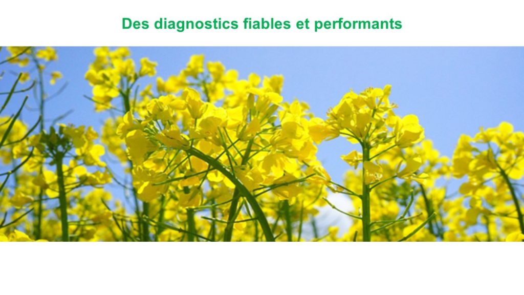 Diapositive1
