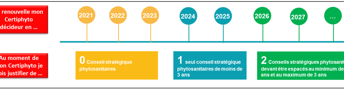 CSP - conseil stratégique - conseil agriculture