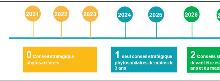 CSP - conseil stratégique - conseil agriculture