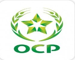 OCP