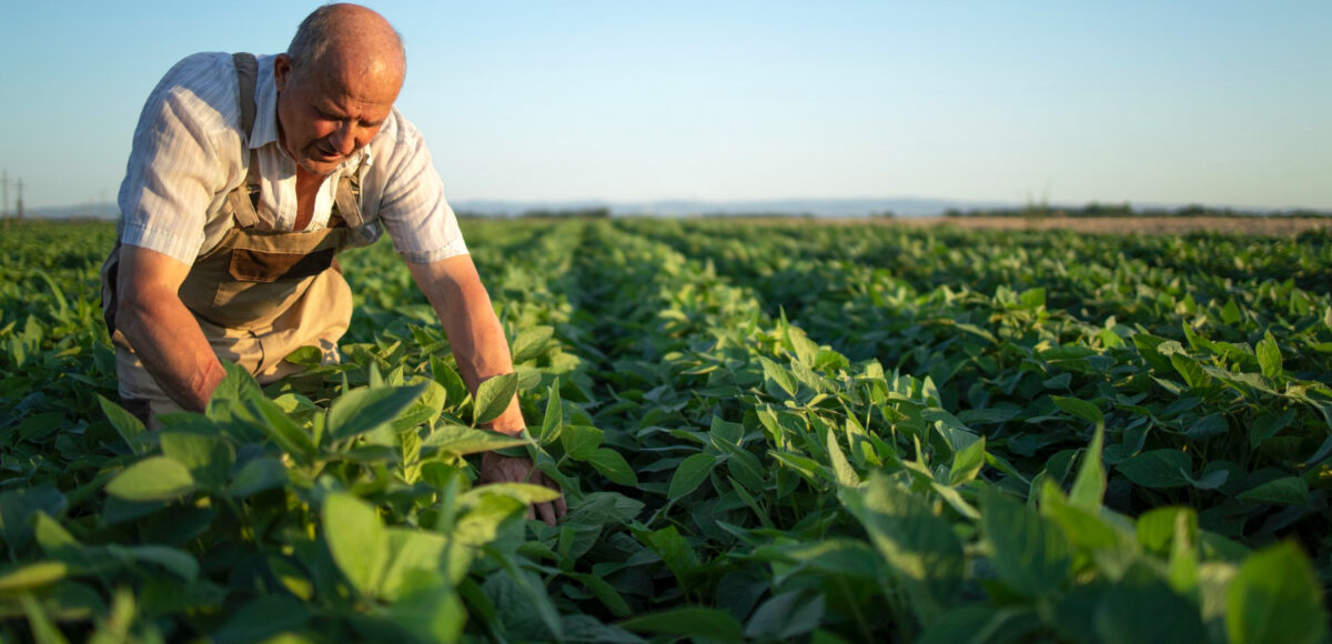 systeme conseil agriculture